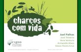 José Teixeira Vera Ventura Armando Alves Vasco Flores Cruz ......Importância dos Charcos Jornadas de Educação Ambiental - Paisagens Educativas Idanha-a-Nova, 28-01-2011 17 •