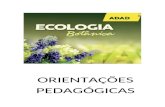 adadbrasil.com.br · Web viewORIENTAÇÕES PEDAGÓGICAS Divisa Ecologia I – ORIENTAÇÕES PEDAGÓGICAS A PAZ DO SENHOR, QUERIDO LÍDER!!!