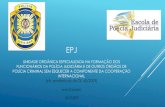 UNIVERSIDADE DE LISBOA FACULDADE DE LETRAS ......IBERPOL –Escola Iberoamericana de Polícia Projeto europeu RAGE COOPERAÇÃO INTERNACIONAL Desenvolvi-mento da formação Preparação