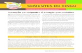 Inovação participativa é energia que mobilizasementesdoxingu.org.br/site/wp-content/uploads/...Inovação participativa é energia que mobiliza. A. Rede de Sementes do Xingu (RSX)