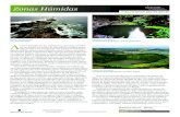 Zonas Húmidas o ambiente dos Açores SIARAMsiaram.azores.gov.pt/vegetacao/zonas-humidas/zonas-humid... · 2019. 1. 14. · lagoas das Sete Cidades inseridas no complexo vulcânico