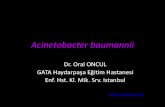 Acinetobacter baumannii - Klimik · 2013. 3. 20. · Tansarli GS, et al Expert Rev Anti Infect Ther, 2013. Acinetobacter baumannii ve Mortalite. • Kan dolaşım sistemi enfeksiyonları,