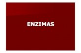 ENZIMAS · 2021. 3. 3. · ENZIMAS. Centro activo Centro Centro regulador activo Centro regulador La citrato sintetasa una de las enzimas del ciclo de Krebs . Title (Microsoft PowerPoint