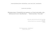 Sistemas Catalíticos para a Conversão do Glicerol em Solketal - …186.202.79.107/download/sistemas-cataliticos-para-a-con... · 2017. 6. 2. · UNIVERSIDADE FEDERAL DE RIO DE JANEIRO