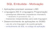 SQL Embutida - Motivaçãoronaldo/ine5423/13-SQLEmbutida.pdf · 2010. 11. 5. · SQL Embutida - Questões • Questões a considerar 1. tradução de duas linguagens diferentes 2.