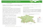 Qualité et de l’Origine) fruits et légumes - FranceAgriMer...1/ Synthèse étude SIQO 2019 > Édition juin 2020 Juin 2020 Étude transversale sur le développement des SIQO (Signes