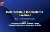 Heterotaxia e Isomerismo · PDF file 2017. 5. 29. · Heterotaxia e Isomerismo cardiaco Dra. Josefina Lería Guarda CERPO Centro de Referencia Perinatal Oriente Facultad de Medicina,