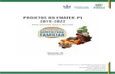 PROJETOS DO EMATER-PI 2019-2022 · 2020. 1. 6. · projetos do emater-pi 2019-2022 para atender mais e melhor teresina - piauí