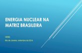 ENERGIA NUCLEAR NA MATRIZ BRASILEIRA · 2014. 10. 8. · ENERGIA NUCLEAR NA MATRIZ BRASILEIRA GESEL Rio de Janeiro, setembro de 2014 . BRASIL – OFERTA INTERNA DE ENERGIA POR FONTE