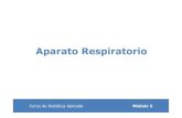 5 Aparato Respiratoriox - GANnutricionydietetica.gan-bcn.com/admin/publics/upload/...Fitoterapia.Vademecum de Prescripción BIBLIOGRAFÍA. Ed.Masson.Barcelona,1998 •Camerino,J. Lafiebredelheno,unaformadecatarroalérgico