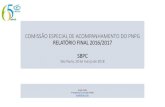 COMISSÃO ESPECIAL DE ACOMPANHAMENTO DO PNPG RELATÓRIO FINAL … · 2018. 4. 15. · participação da Comissão na Reunião do ENPROP, em Manaus, em novembro de 2016. Estrutura