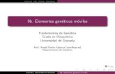 9b. Elementos gen eticos m oviles - UGRama/fdg/pdf/fdg09b.pdf · 2020. 11. 26. · Elementos transponibles en humanos M as del 50% del genoma humano procede de transposones Elementos