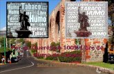 Por un Querétaro 100% Libre de Humo de Tabaco · 2018. 8. 12. · Humanos Fray Jacobo Daciano • Se ha trabajado con la Comisión de Salud de la LVI Legislatura del Estado. •