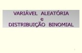 Variável Aleatória e Distribuição Binomiallane/home/MAE0116vet/Aula5... · 2011. 3. 22. · Variável Aleatória Uma função X que associa a cada elemento wdo espaçoamostralW