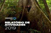 RELATÓRIO DE ATIVIDADES 2019 - Conservation International...3 STEFANO ARNHOLD Em 2019 fiquei super honrado com o convite para presidir o Conselho Consultivo da CI-Brasil após ter