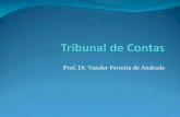 Prof. Dr. Vander Ferreira de Andrade · 2019. 12. 5. · administradores e demais responsáveis por $$, bens e valores públicos da adm. direta e indireta e as contas dos que derem