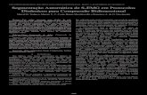 XXXV SIMPÓSIO BRASILEIRO DE TELECOMUNICAÇÕES ......imagens digitais foram empregados na codificação de S-EMG em [10-16]. Nesses estudos, o sinal de S-EMG é segmentado em janelas