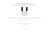 Universidade de Lisboarepositorio.ul.pt/bitstream/10451/23748/1/10921_Tese.pdf · 2018. 10. 24. · Universidade de Lisboa Faculdade de Medicina de Lisboa Characterization of adenosinergic