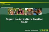 Seguro da Agricultura Familiar TأچTULO ... SEGURO DA FAMILIAR Secretaria da Agricultura Familiar Ministأ©rio
