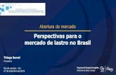 Perspectivas para o mercado de lastro no Brasil - FGV Energia · 2019. 10. 2. · Ministério de Minas e Energia Desenvolvemos estudos e estatísticas energéticas para subsidiar