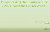 O reino dos Animais filo dos Cordados As aveseducacaonaopara.com/wp-content/uploads/2020/08/... · O reino dos Animais –filo dos Cordados ... As aves são animais vertebrados, que