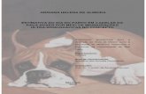 PAGINA DE ROSTO - USP · 2007. 4. 9. · LISTA DE ILUSTRAÇÕES Figura 1 - Imagem ultra-sonográfica de gestação no 46o dia antes do parto (DAP). Animal em decúbito lateral, onde