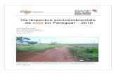 Os impactos socioambientais da soja no Paraguai – 2010 · 2017. 7. 18. · Os impactos socioambientais da soja no Paraguai – 2010 ONG Repórter Brasil Base Investigaciones Sociales