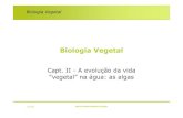 Biologia Vegetal - ULisboamaloucao/Aula 4BV.pdfBiologia Vegetal. A evolução da vida “vegetal” na água: as algas. •Aquisição de energia •Fotossíntese •Pigmentos clorofilinos