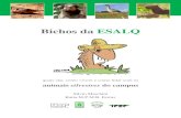 Bichos da ESALQBichos da ESALQ revela ao público a diversa e abundante fauna silvestre do Campus “Luiz de Queiroz”. São mais de 260 espécies de mamíferos, aves, répteis e