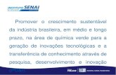 Promover o crescimento sustentável da indústria brasileira, em … Verde... · 2018. 7. 26. · Engenharia Mecânica pela Universidade Católica de Petrópolis - UCP (1994), Pós-graduação