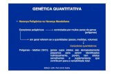 351tica Quantitativa I.ppt) - USP · 2016. 11. 7. · => A variação contínua de um caráter quantitativo é devida ao grande número de genótipos e à influência do ambiente