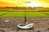 Editorial EAN - de suelos contaminados · 2020. 1. 22. · Tania Volke Sepúlveda. 11 Remediación de suelos contaminados: fundamentos y casos de estudio PARTE I REMEDIACIÓN Y BIORREMEDIACIÓN.