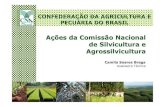 Ações da Comissão Nacional de Silvicultura e Agrossilvicultura...• Visita ao viveiro de seringueira da CAUTEX Florestal, Paranaíba/MS Visita ao Mato Grosso do Sul Comissão Nacional