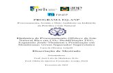 NORMAS PARA OS BOLSISTAS DE GRADUAÇÃO DA ANPepqb.eq.ufrj.br/download/dinamica-de-processamento... · 2020. 10. 5. · Lara de Oliveira Arinelli Dissertação submetida ao Corpo