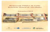 Setembro/2019 · 2020. 5. 25. · 3 Apresentação O presente relatório de gestão tem por objetivo demonstrar as atividades realizadas na Hemorrede Pública de Goiás sob a administração