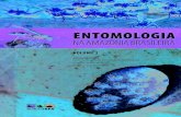 ENTOMOLOGIA - Inpa · 2020. 8. 20. · 5 ÍNDICE DE AUTORES Alex Sandro Barros SOUZA, Programa de Pós-Graduação em Entomologia, Bolsista CAPES. Instituto Nacional de Pesquisas