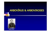 ARBOVÍRUS & ARBOVIROSES · 2011. 4. 1. · Os Arbovírus Arbovírus (de “ar thropod bo rne virus ”) são vírus que podem ser transmitidos ao homem por vetores artrópodos. Definição