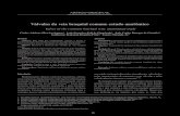 Válvulas da veia braquial comum: estudo anatômico · 2016. 5. 31. · 1.Mark B, Foris Z. Vein valve transplantation segmental transposition: a case report. Acta Chirur Hung. 1989;30:89-96.