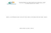 Relat rio Gerencial 2012 - SPPC - 27032013sa.previdencia.gov.br/site/2014/04/Relatório-de... · segurança e sustentabilidade do RPC, bem como em seu fomento. Os trabalhos em 2012