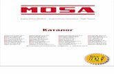 Mosa || Каталог. Описание электростанций Ge, сварочных ...MOSA, founded in 1963, is specialized in the production of high quality, professional