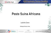 Peste Suína Africana · 2020. 8. 10. · domésticos e selvagens. Transmitida por suínos vivos ou mortos, domésticos ou selvagens, produtos cárneos de origem suína contaminados,