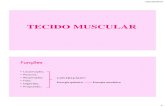 TECIDO MUSCULAR - Professor · 2021. 4. 24. · 13/10/2014 10 Sarcômero é a unidade funcional da fibra muscular. Seu encurtamento resulta no encurtamento da fibra e do músculo
