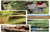 Acerca del Programa Green Commodities del PNUD...Publicado por el Programa Green Commodities, Programa de las Naciones Unidas para el Desarrollo, Nueva York Escritura y edición: Elodie