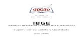 IBGE - apostilasopcao.com.br · 2021. 3. 11. · 3. Redes de computadores. Conceitos básicos, ferramentas, aplicativos e procedimentos de Internet e intranet. Programas de navegação