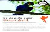 Estudo de caso Arara Azul...O Instituto Arara Azul Fundado em 2003, a ONG Instituto Arara Azul desenvolve projetos de pesquisa, manejo, educação e turismo para proteger e conservar