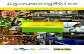Informativo da Embrapa Agroenergia • Edição nº 42 • 13/06/2013 · Edição nº 42 9 “Sorgo o grão do etanol brasileiro”, de Patrícia Flávio Dias Barbosa “A multiplicação