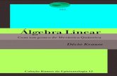 Álgebra Linear - UFSCnel.ufsc.br/rumos15.pdf · 2020. 10. 17. · OCONCEITO DE espaço vetorial, ou espaço linear, remonta a Hermann Grassmann (1809-1877), apesar de ter sido introduzido