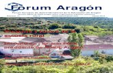 Forum Aragón 11b - FEAEfeae.eu/doc/ara/revista_digital_forum_aragon_11.pdf · 2014. 3. 23. · Revista digital de FEAE-Aragón sobre organización y gestión educativa ... cada curso