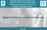 Hospital De Clínicas De Porto Alegre (HCPA) Programa de ...€¦ · CBS05023 – Embriologia Humana Daniela Pereira Laureano Maio, 2015 Desenvolvimento do Sistema Nervoso . Sistema
