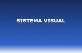 SISTEMA VISUALfisio2.icb.usp.br:4882/wp-content/uploads/2016/08/Visual... · 2017. 6. 27. · Sistema Visual . Sistema Visual Submodalidades: •Localização espacial •Intensidade